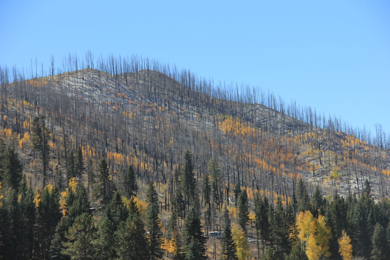 Valles Caldera National Preserve 